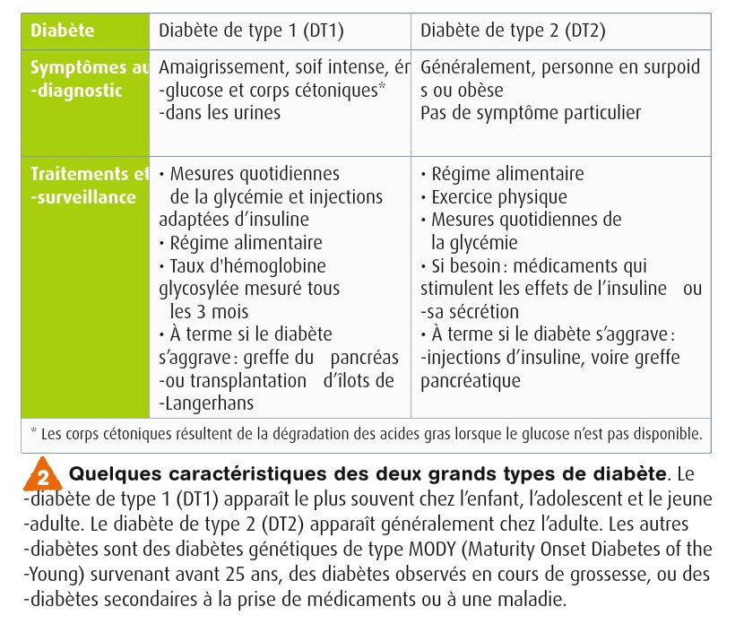 Diabète de Type 2 : Causes, Symptômes, Traitement