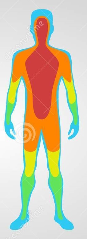 Le bilan thermique du corps humain - myMaxicours